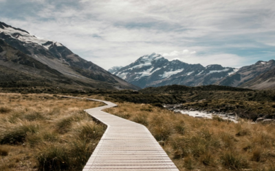 2026 Un año para fortalecer procesos y vínculos